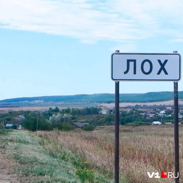 Источник: Илья Воробушкин / V1.RU