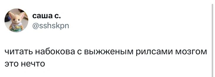 Источник: X (Twitter)