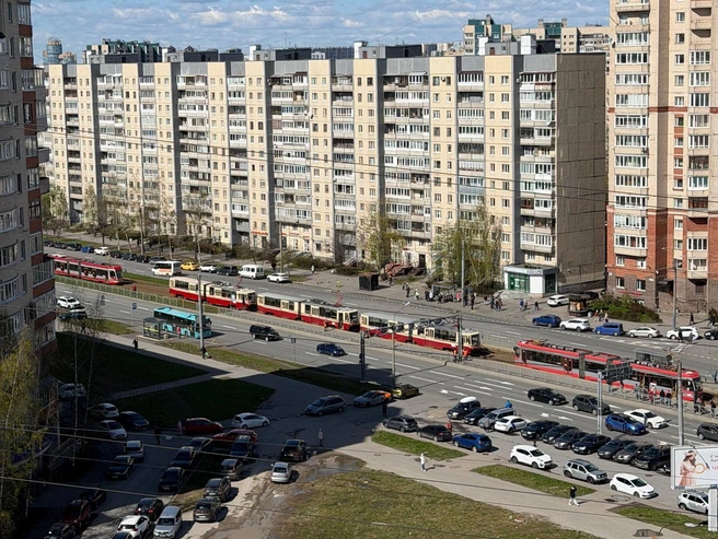 Не менее пяти трамваев стоят без движения у Комендантской площади в Петербурге | Источник: читатель «Фонтанки»