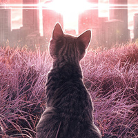 Аватарка Есть что сказать