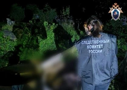 Источник: udm.sledcom.ru
