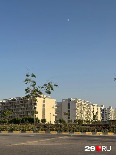 Источник: Валерия Богатырёва / 29.RU