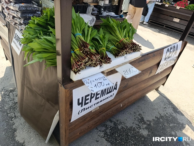 По словам продавцов, всю черемшу везут из Листвянки | Источник: Даниил Конин / «ИрСити»