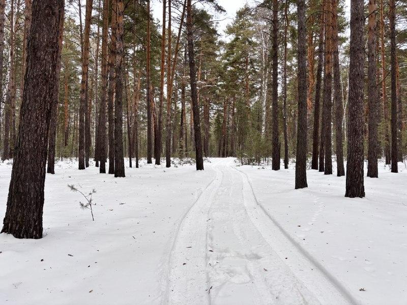 Самый теплый день: в Кургане погода установила новый рекорд