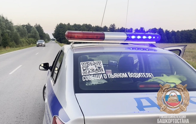 Госавтоинспекция аварию пока не комментировала | Источник: ГИБДД Башкирии