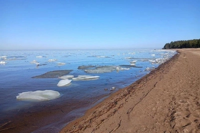 Эконадзор назвал подделкой кадры загрязнения пляжа