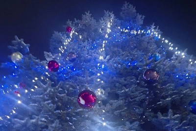 Новогодние елки в Оренбурге: адреса и даты открытия