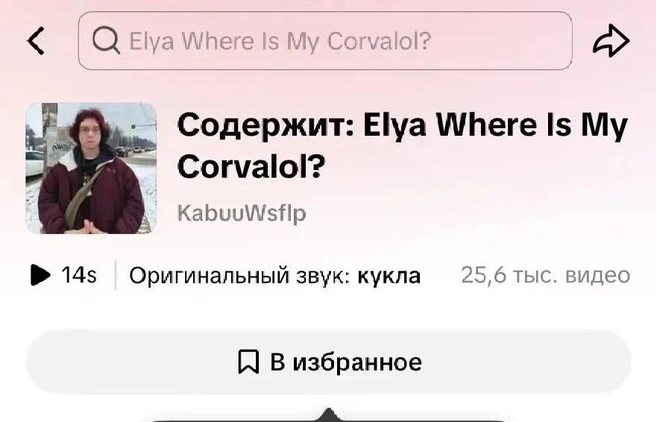 Под звук сняли больше 25 тысяч видео | Источник: TikTok