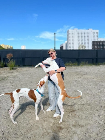 Но вот делают это по настроению, если сами захотят | Источник: личный архив Надежды Купченко