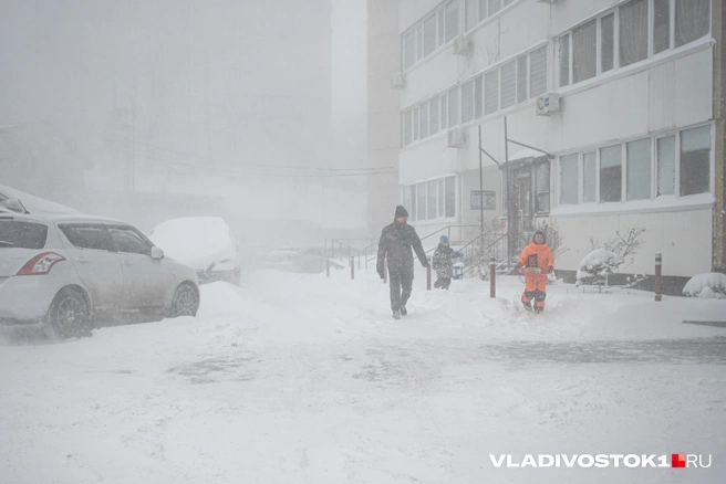 Источник: Елена Буйвол / VLADIVOSTOK1.RU