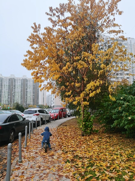 Сергей Коноплев, 2 года, г. Москва | Источник: личный архив