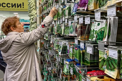 В Воронежской области выявили нелегальную продажу семян