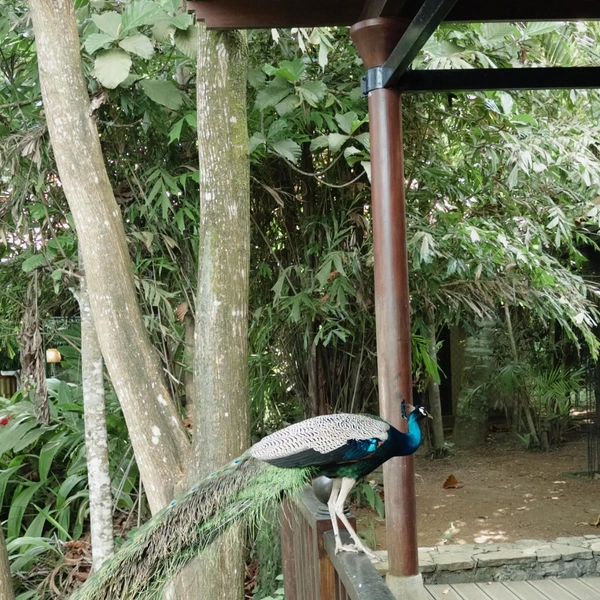 Источник: Соцсети