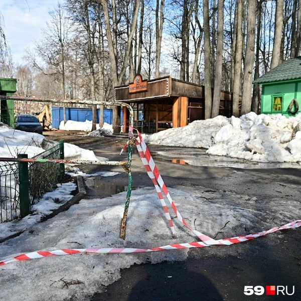 Источник: Василина Любимова / 59.RU