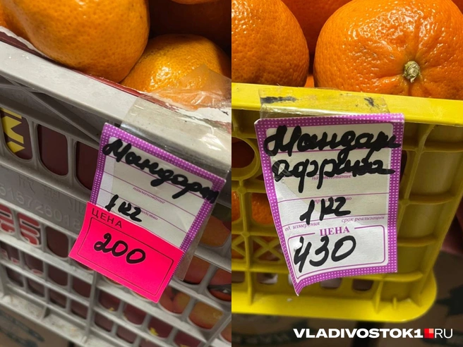 Источник: Елена Буйвол / VLADIVOSTOK1.RU