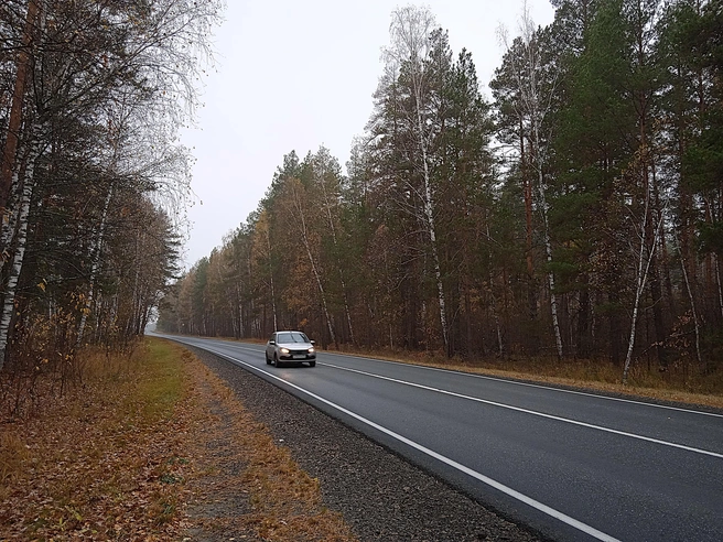 В Ульяновской области 50-летняя женщина разбилась, катаясь на скутере | Источник: Дмитрий Сильнов / 173. RU