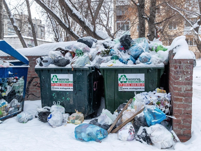 300 мусоровозов обеспечат вывоз отходов в Новосибирске во время новогодних праздников. | Источник: Александр Ощепков / NGS.RU