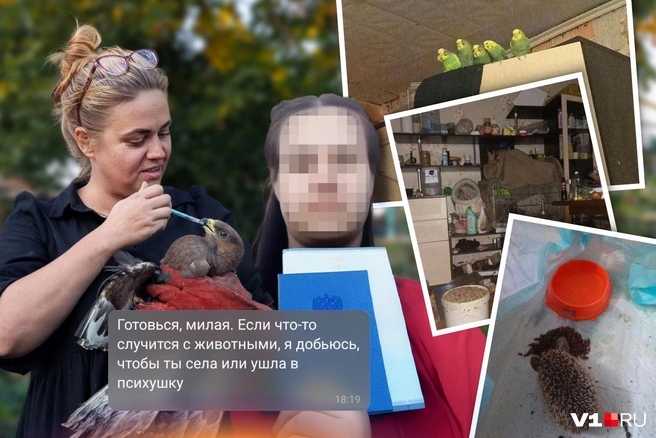 Истоки конфликта идут еще из Тулы | Источник: Юрий Скулыбердин / Городские медиа