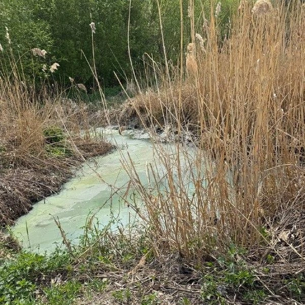 Источник: читатель 63.RU