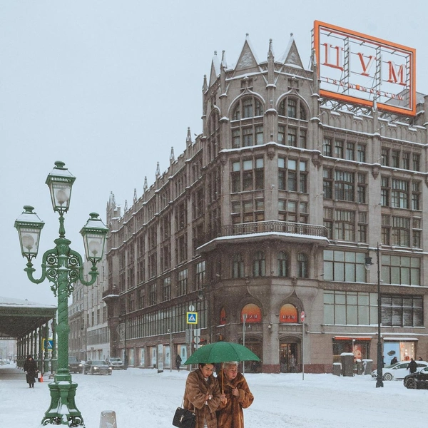 Источник: ted.ns
