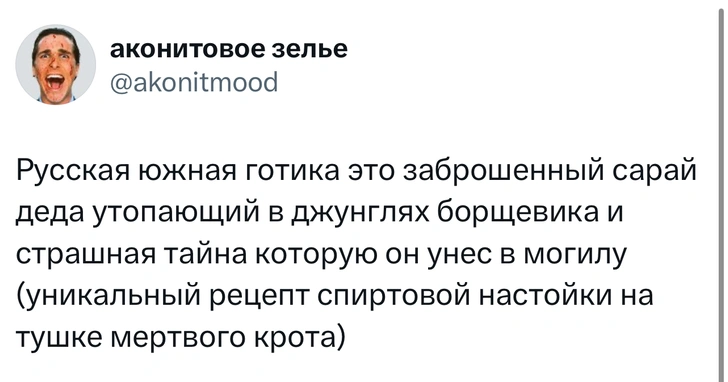 Источник: X (Twitter)
