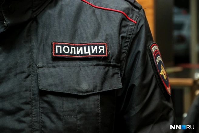 «Потерявшихся» детей искали около 20 человек | Источник: Наталья Бурухина / NN.RU