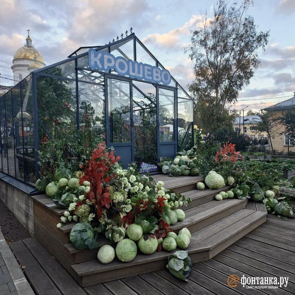 Источник: Ксения Потеева / FONTANKA.RU