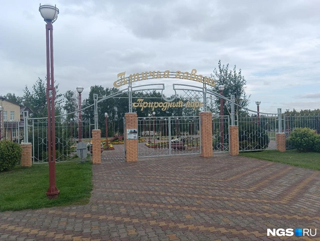 «Птичья гавань» производит впечатление очень ухоженного и спокойного места | Источник: Анна Филатова / NGS.RU