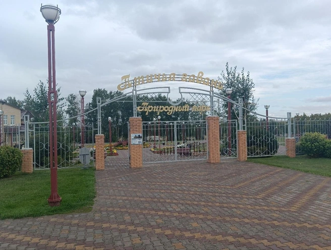 «Птичья гавань» производит впечатление очень ухоженного и спокойного места | Источник: Анна Филатова / NGS.RU