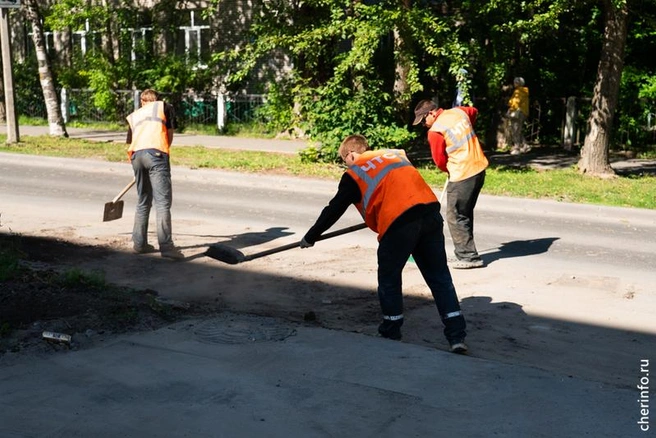 Источник: st.cherinfo.ru