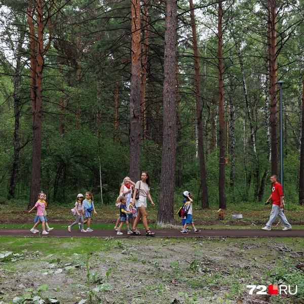 Источник: Ирина Шарова / 72.RU 