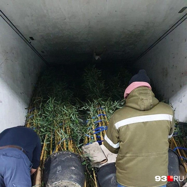 Источник: предоставлено 93.RU