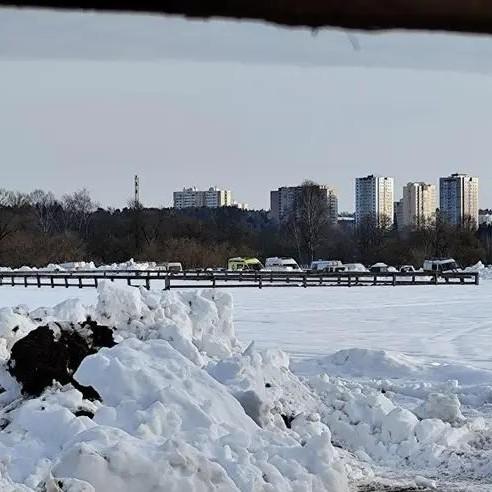 «Видно, что двое упали в воду, третий пытался помочь и провалился»: найдены новые следы пропавших в Звенигороде детей