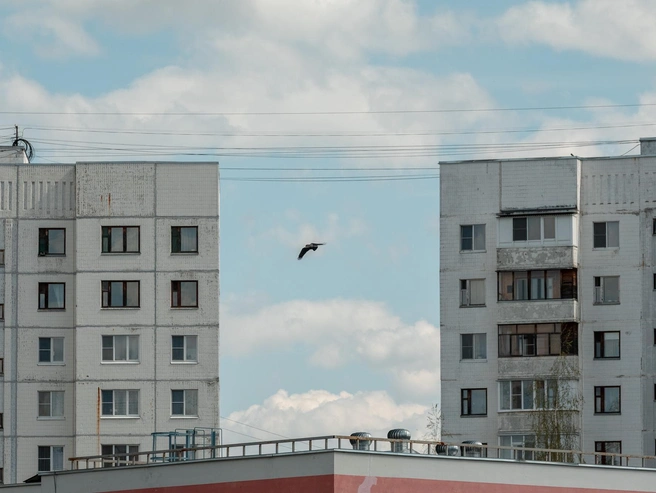 Фасады напоминают разлинованные листы тетради | Источник: Александр Куренной / 76.RU