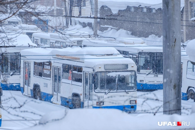 Ждут весны | Источник: Булат Салихов / UFA1.RU