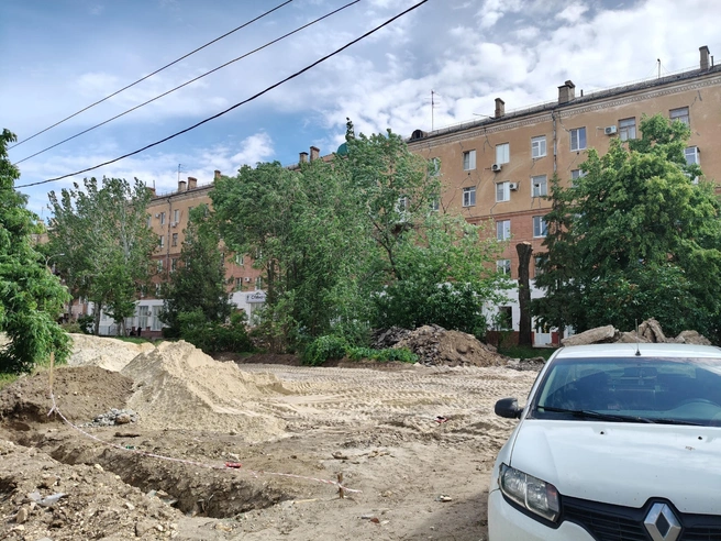 Некоторые деревья повалены, вероятно, в ходе работ | Источник: Мария Умнова / V1.RU
