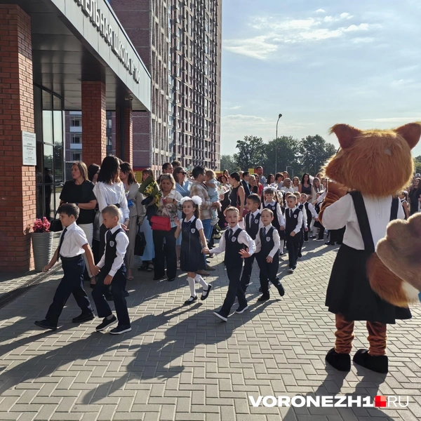 Источник: Андрей Пашинский / Voronezh1.ru