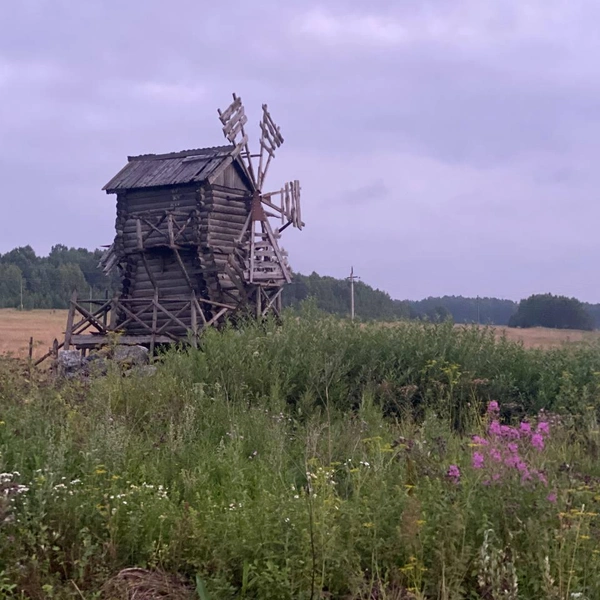 А это музей-поселение «Березовый мост» | Источник: «ЗЕЛЕНЫЙ ДРУГ» / Telegram