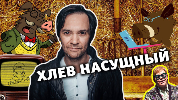 Фото №1 - Главред MAXIM обсуждает со свиньями самые важные новости. Премьера нового Youtube-канала
