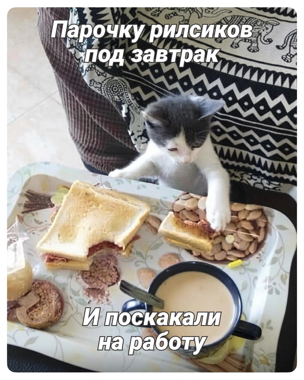 Собираемся, заряжаемся! | Источник: Полина Авдошина / Городские медиа