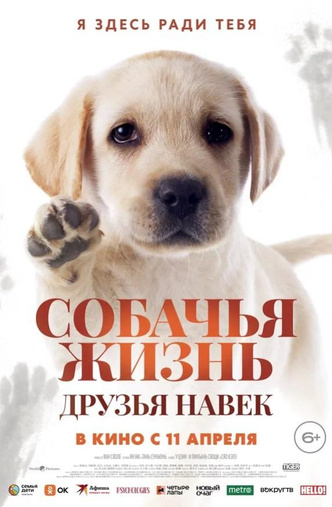 5 добрых фильмов про собак