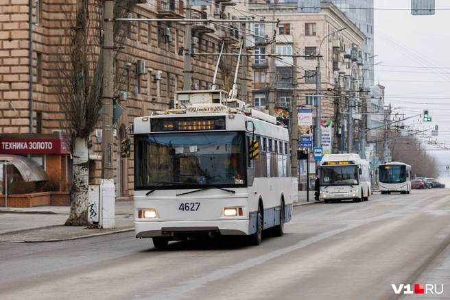Источник: Алексей Волхонский / V1.RU