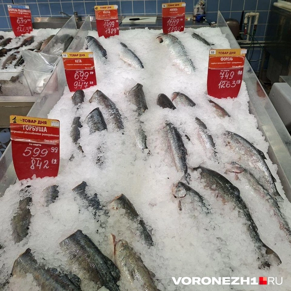 Источник: Алёна Воропаева / Voronezh1.ru