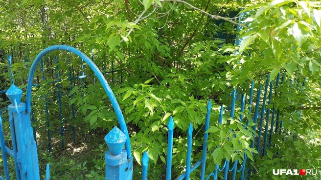 Источник: Антон Селиверстов / UFA1.RU