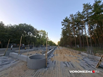 Источник: Алена Воропаева / Voronezh1.ru