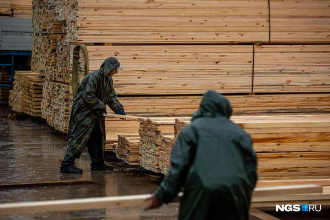Лесная промышленность Поморья после 2022 году пережила не лучшие времена | Источник: Александр Ощепков / NGS.RU