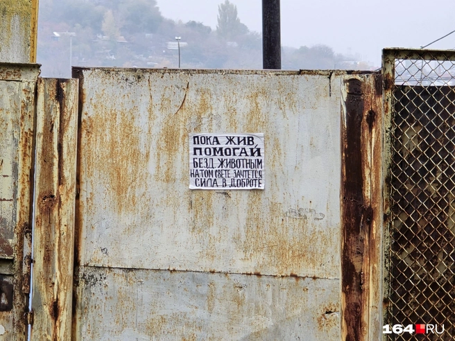 Совет живым | Источник: Семен Коротов-Майбах / 164.RU