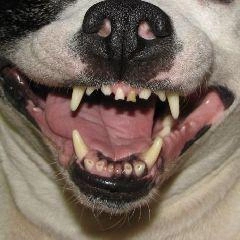 Ответчица, по словам истицы, не предприняла попыток урегулировать ситуацию | Источник: www.city-n.ru