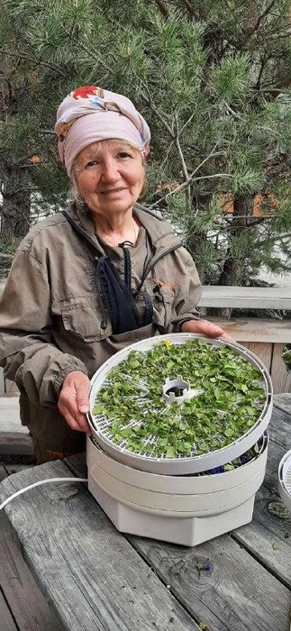 Сладости травница тоже готовит из всего, что нашла в горах и лесах | Источник: Людмила Теплых