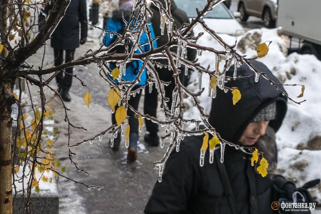Убирать в шкаф теплую одежду пока рано | Источник: Михаил Огнев / FONTANKA.RU